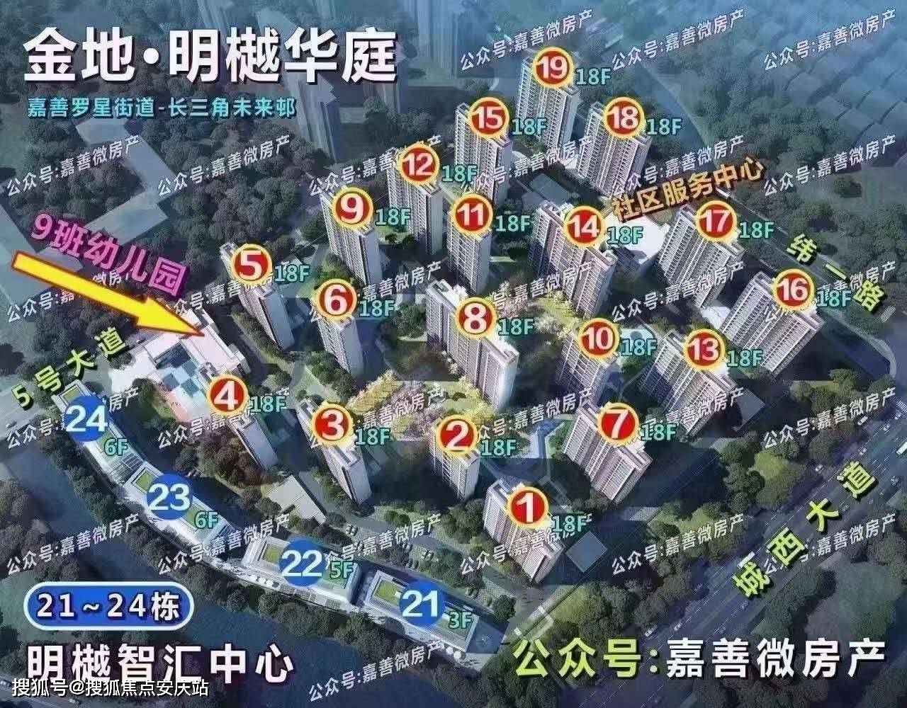 三五结合秋意浓是什么生肖，详细解答、深度解答解释落实