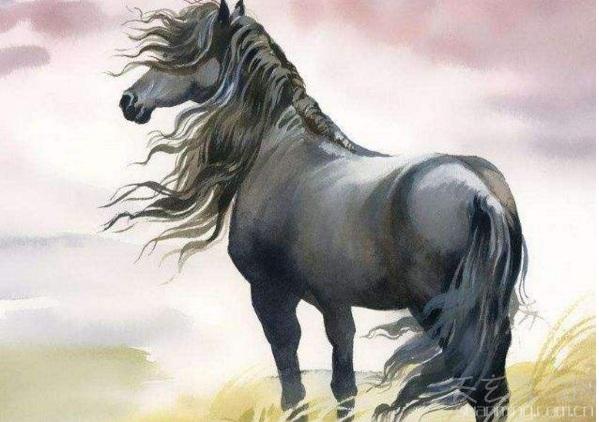 瞻予马首打一准确生肖详细解答、解释与落实、详细解答解释落实